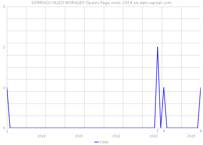 DOMINGO NUZZI MORALES (Spain) Page visits 2024 