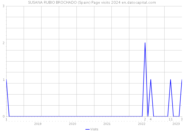 SUSANA RUBIO BROCHADO (Spain) Page visits 2024 
