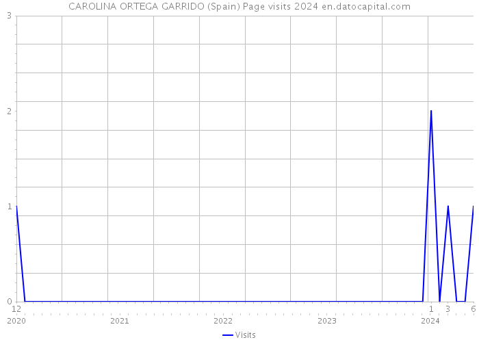 CAROLINA ORTEGA GARRIDO (Spain) Page visits 2024 