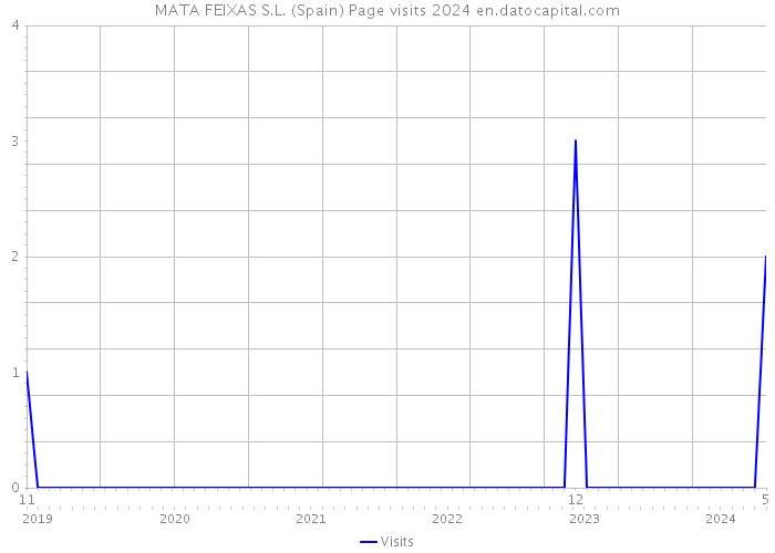 MATA FEIXAS S.L. (Spain) Page visits 2024 