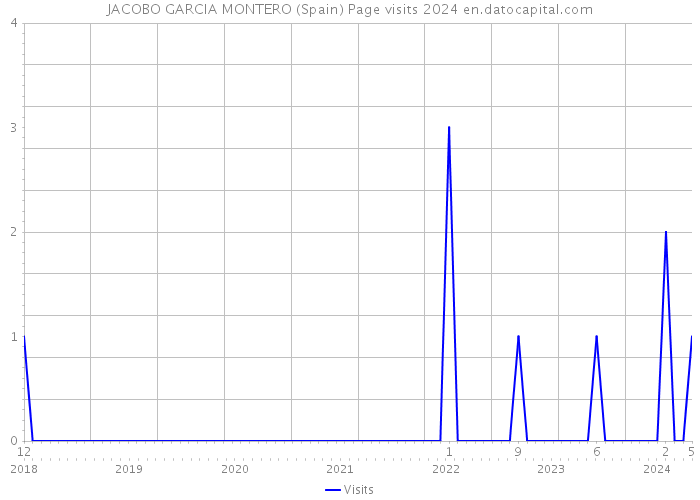 JACOBO GARCIA MONTERO (Spain) Page visits 2024 