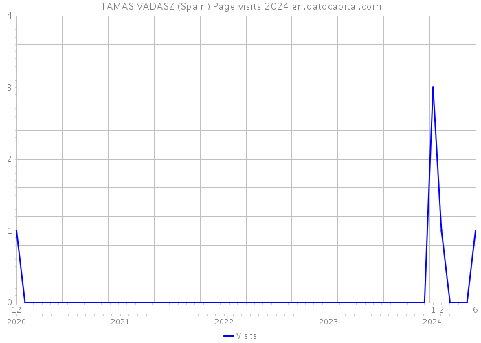 TAMAS VADASZ (Spain) Page visits 2024 