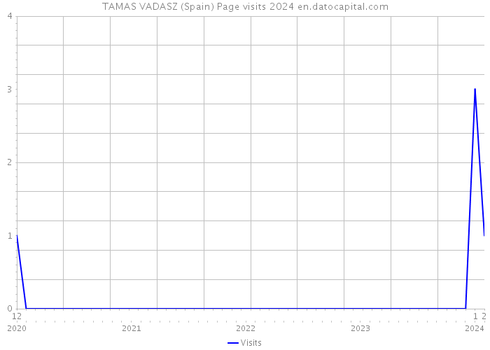 TAMAS VADASZ (Spain) Page visits 2024 