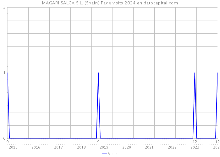 MAGARI SALGA S.L. (Spain) Page visits 2024 