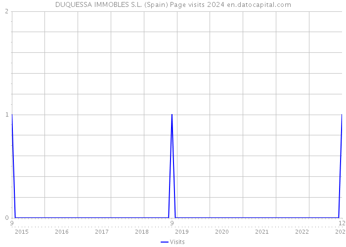 DUQUESSA IMMOBLES S.L. (Spain) Page visits 2024 