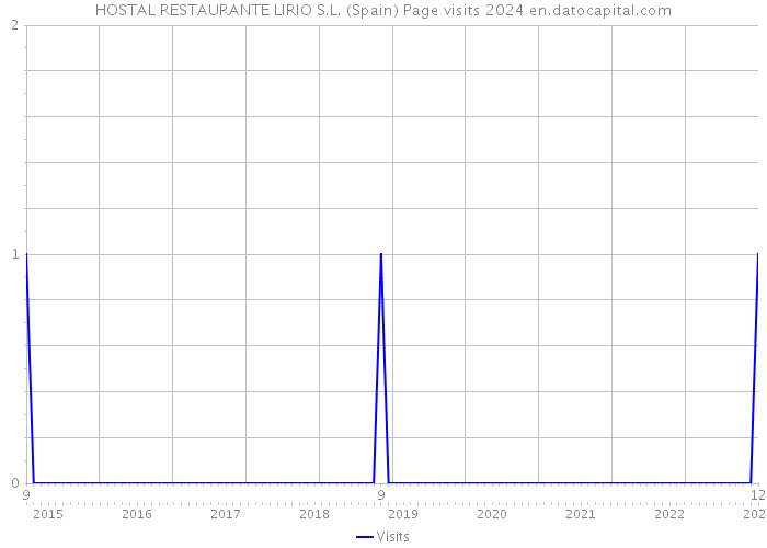 HOSTAL RESTAURANTE LIRIO S.L. (Spain) Page visits 2024 