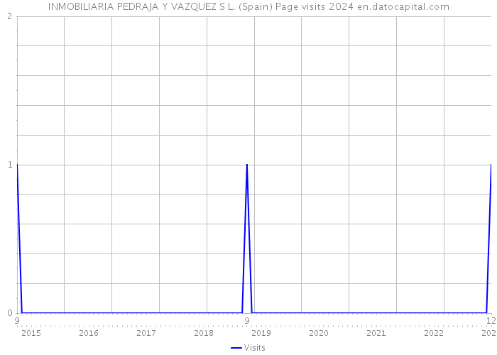 INMOBILIARIA PEDRAJA Y VAZQUEZ S L. (Spain) Page visits 2024 