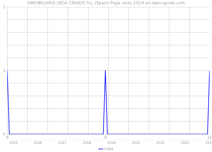 INMOBILIARIA VEGA CRIADO S.L. (Spain) Page visits 2024 