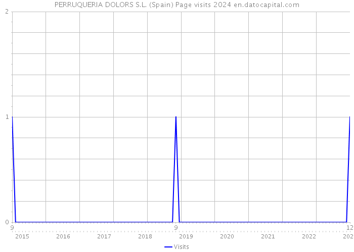 PERRUQUERIA DOLORS S.L. (Spain) Page visits 2024 