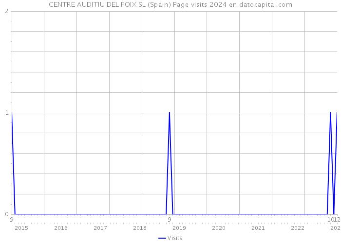 CENTRE AUDITIU DEL FOIX SL (Spain) Page visits 2024 