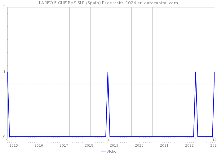 LAREO FIGUEIRAS SLP (Spain) Page visits 2024 