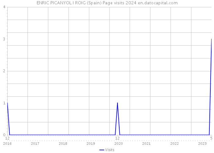 ENRIC PICANYOL I ROIG (Spain) Page visits 2024 