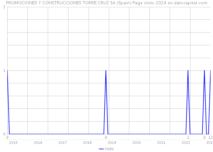 PROMOCIONES Y CONSTRUCCIONES TORRE CRUZ SA (Spain) Page visits 2024 