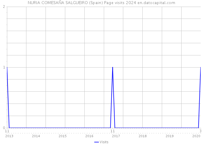 NURIA COMESAÑA SALGUEIRO (Spain) Page visits 2024 