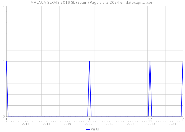 MALAGA SERVIS 2016 SL (Spain) Page visits 2024 