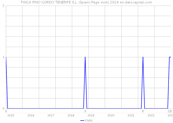 FINCA PINO GORDO TENERIFE S.L. (Spain) Page visits 2024 