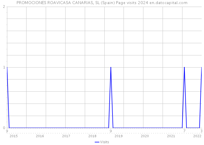 PROMOCIONES ROAVICASA CANARIAS, SL (Spain) Page visits 2024 