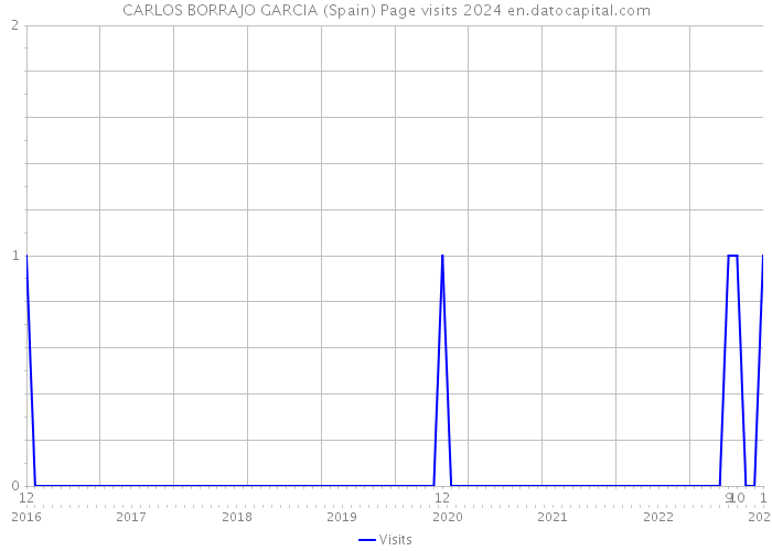 CARLOS BORRAJO GARCIA (Spain) Page visits 2024 