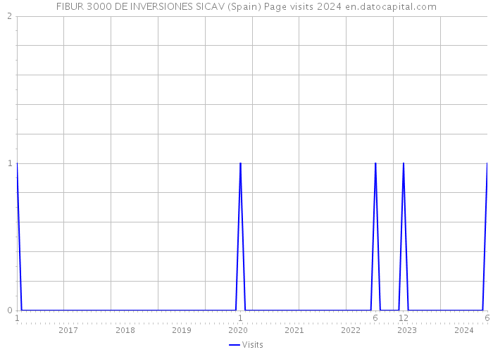 FIBUR 3000 DE INVERSIONES SICAV (Spain) Page visits 2024 