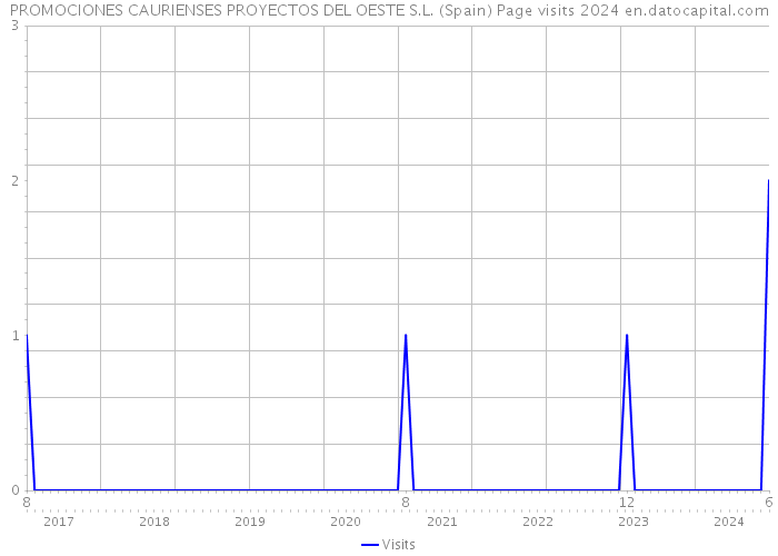PROMOCIONES CAURIENSES PROYECTOS DEL OESTE S.L. (Spain) Page visits 2024 
