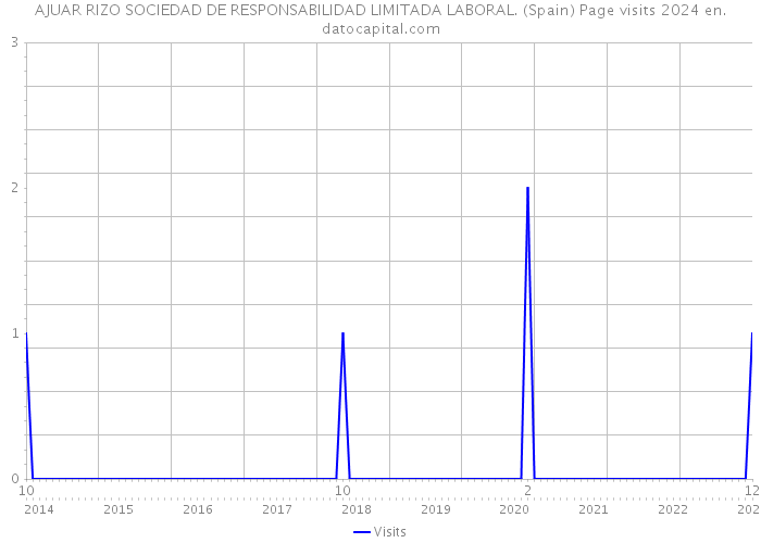 AJUAR RIZO SOCIEDAD DE RESPONSABILIDAD LIMITADA LABORAL. (Spain) Page visits 2024 