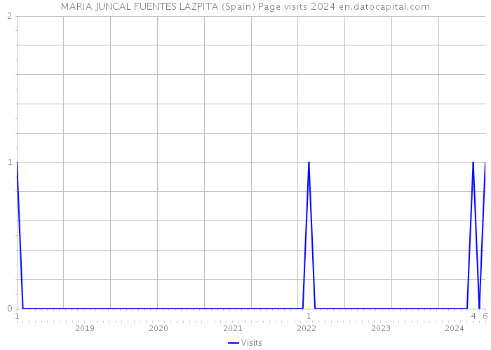 MARIA JUNCAL FUENTES LAZPITA (Spain) Page visits 2024 