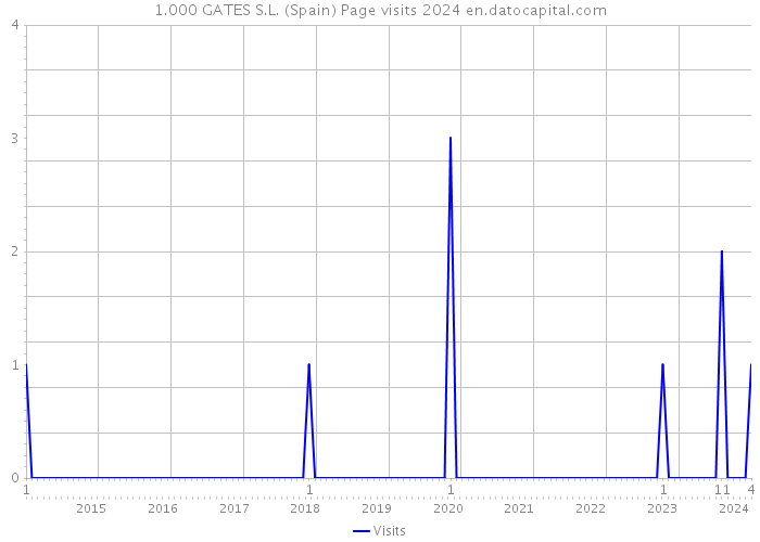 1.000 GATES S.L. (Spain) Page visits 2024 