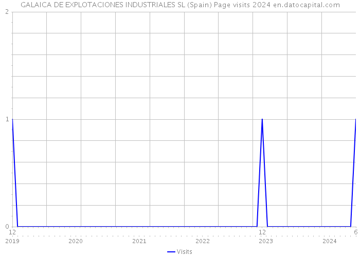 GALAICA DE EXPLOTACIONES INDUSTRIALES SL (Spain) Page visits 2024 