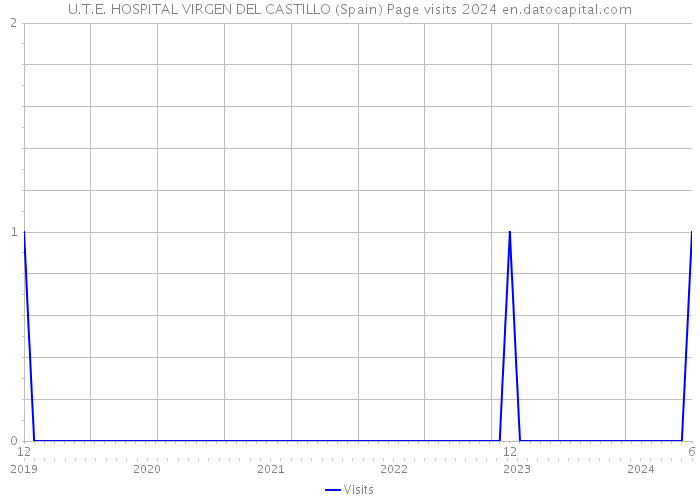 U.T.E. HOSPITAL VIRGEN DEL CASTILLO (Spain) Page visits 2024 