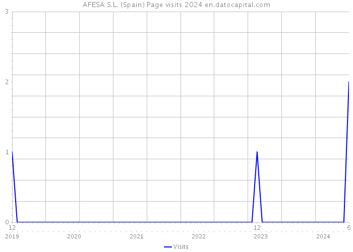 AFESA S.L. (Spain) Page visits 2024 