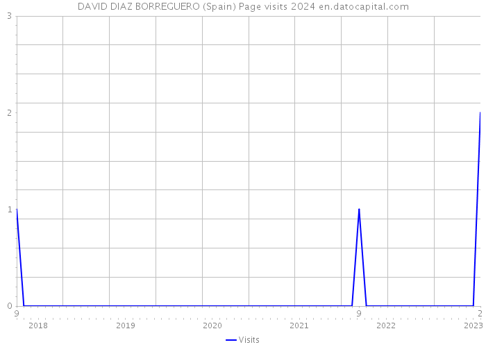DAVID DIAZ BORREGUERO (Spain) Page visits 2024 