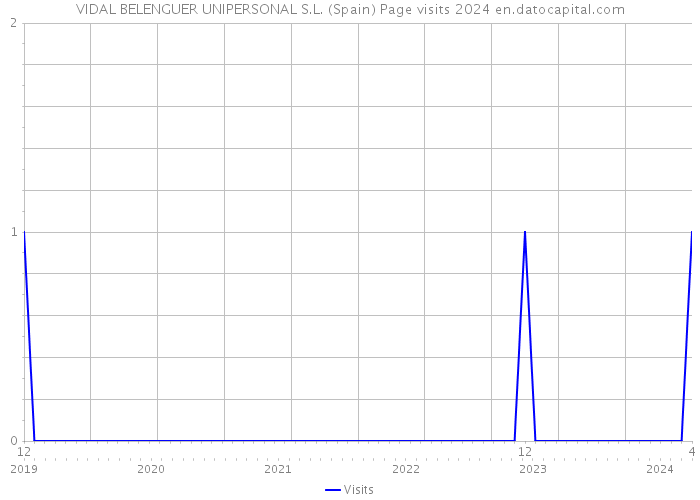 VIDAL BELENGUER UNIPERSONAL S.L. (Spain) Page visits 2024 