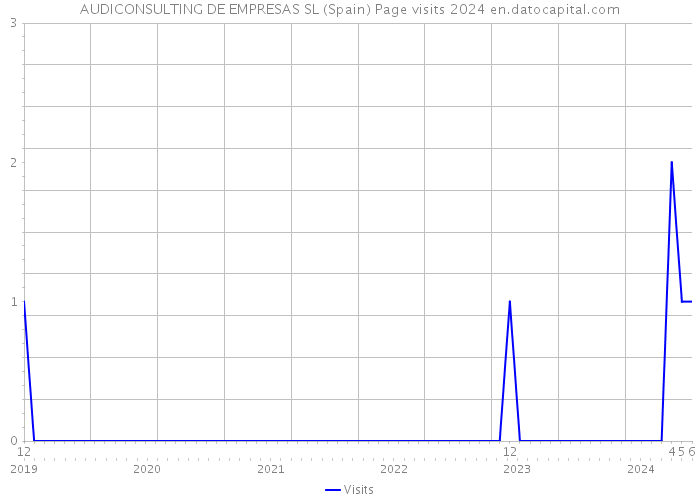 AUDICONSULTING DE EMPRESAS SL (Spain) Page visits 2024 