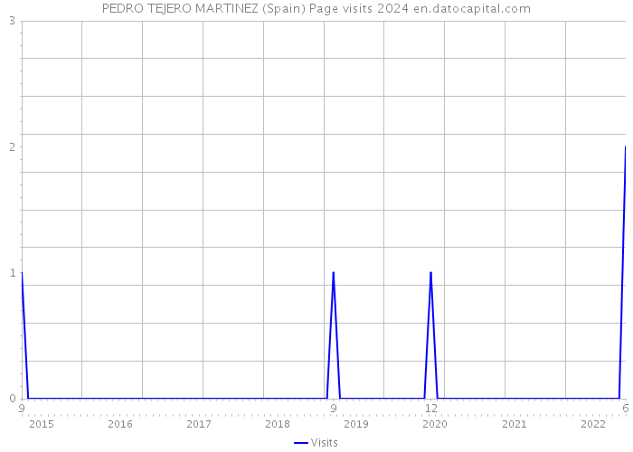 PEDRO TEJERO MARTINEZ (Spain) Page visits 2024 