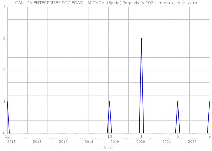 CALUGA ENTERPRISES SOCIEDAD LIMITADA. (Spain) Page visits 2024 