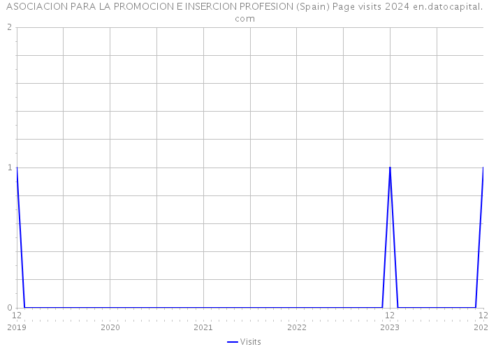 ASOCIACION PARA LA PROMOCION E INSERCION PROFESION (Spain) Page visits 2024 