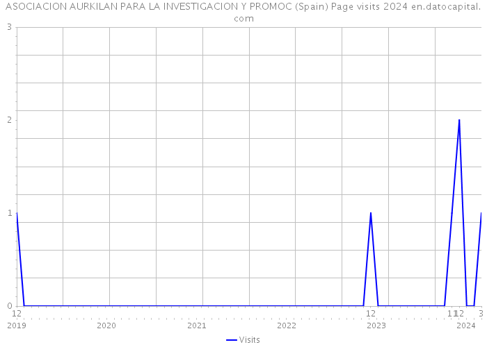 ASOCIACION AURKILAN PARA LA INVESTIGACION Y PROMOC (Spain) Page visits 2024 