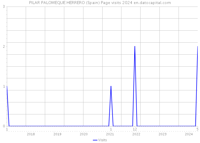 PILAR PALOMEQUE HERRERO (Spain) Page visits 2024 