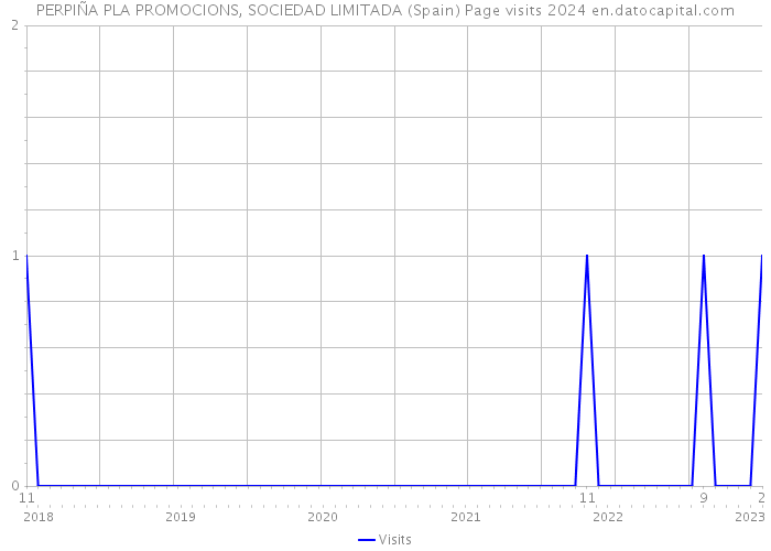 PERPIÑA PLA PROMOCIONS, SOCIEDAD LIMITADA (Spain) Page visits 2024 