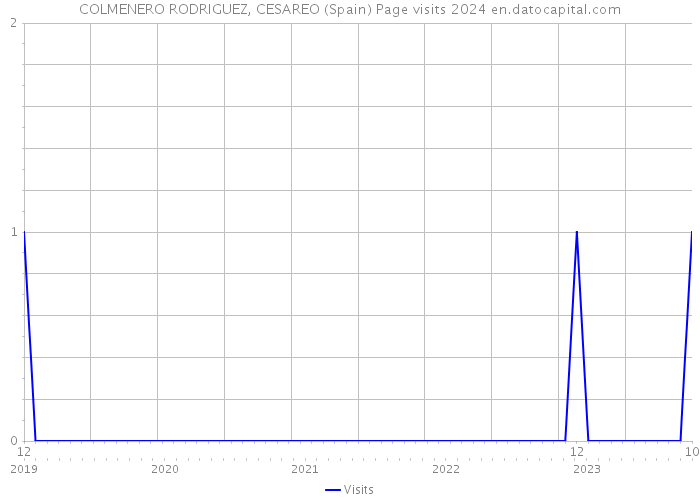 COLMENERO RODRIGUEZ, CESAREO (Spain) Page visits 2024 