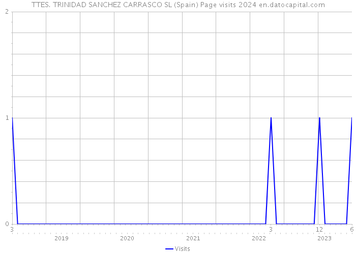 TTES. TRINIDAD SANCHEZ CARRASCO SL (Spain) Page visits 2024 