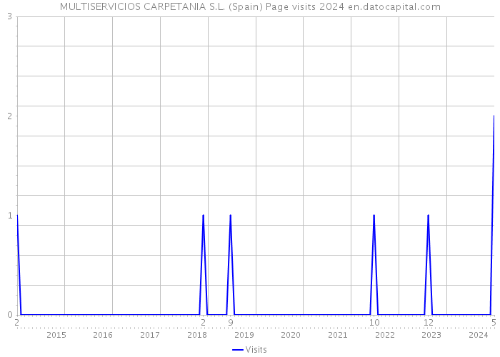 MULTISERVICIOS CARPETANIA S.L. (Spain) Page visits 2024 