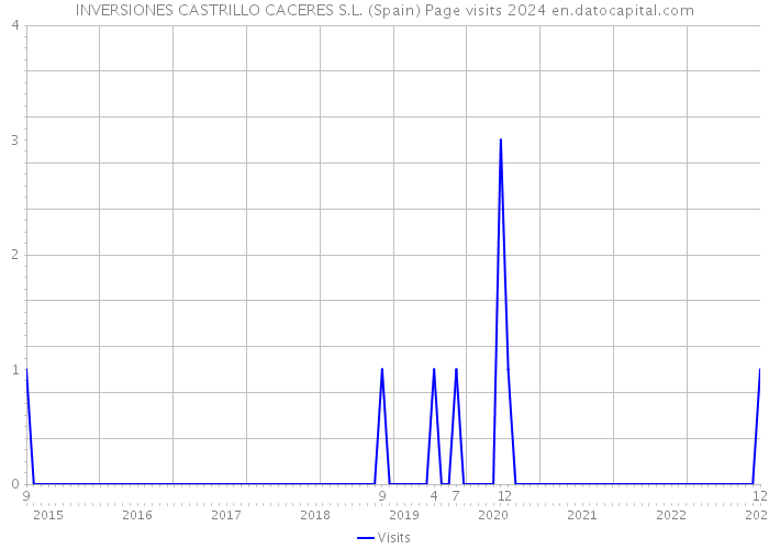 INVERSIONES CASTRILLO CACERES S.L. (Spain) Page visits 2024 