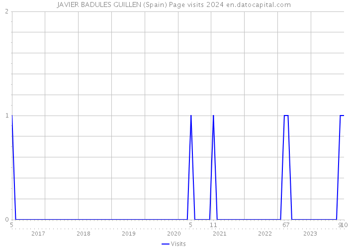 JAVIER BADULES GUILLEN (Spain) Page visits 2024 