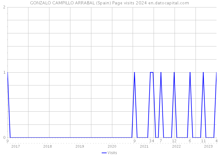 GONZALO CAMPILLO ARRABAL (Spain) Page visits 2024 