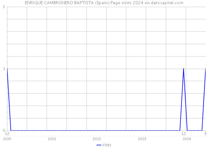 ENRIQUE CAMBRONERO BAPTISTA (Spain) Page visits 2024 