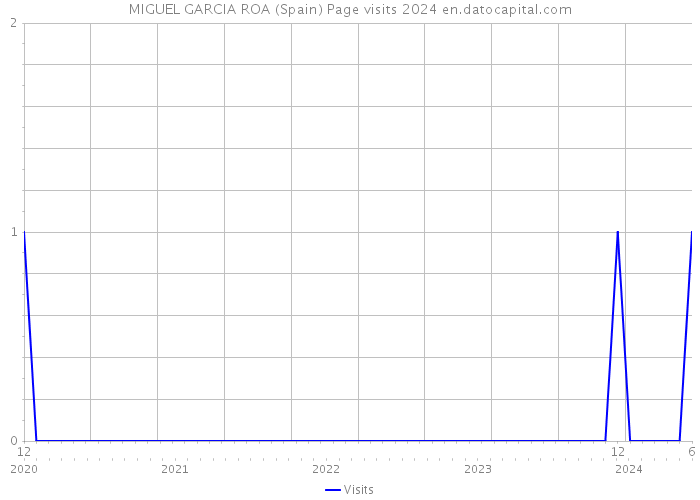 MIGUEL GARCIA ROA (Spain) Page visits 2024 