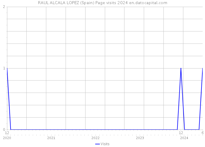 RAUL ALCALA LOPEZ (Spain) Page visits 2024 