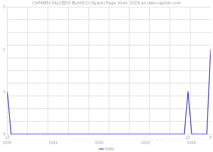 CARMEN SALCEDO BLANCO (Spain) Page visits 2024 