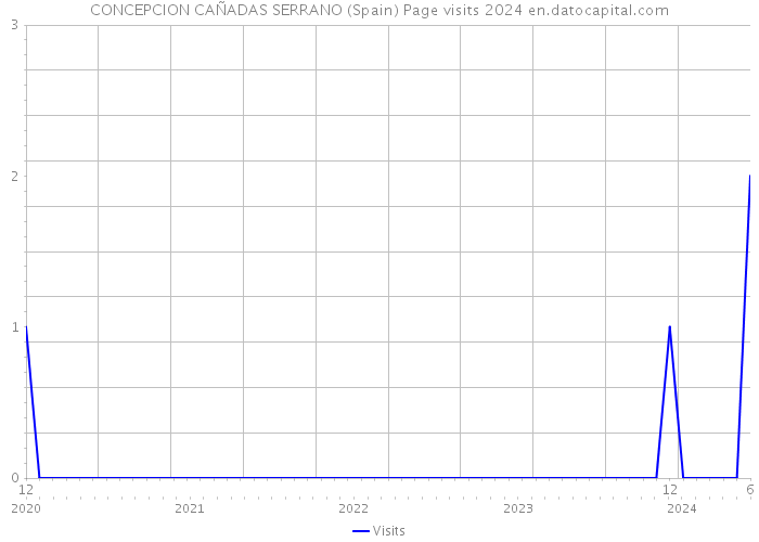 CONCEPCION CAÑADAS SERRANO (Spain) Page visits 2024 